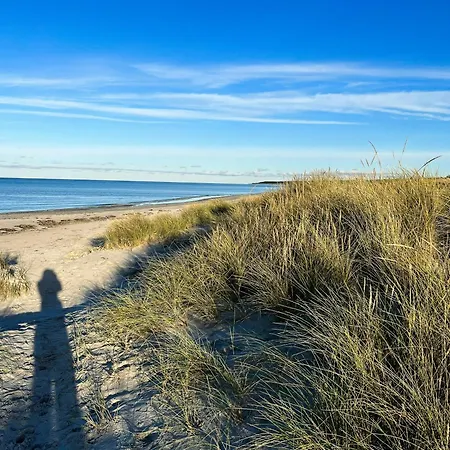 Summerhouse Close To Nature And *