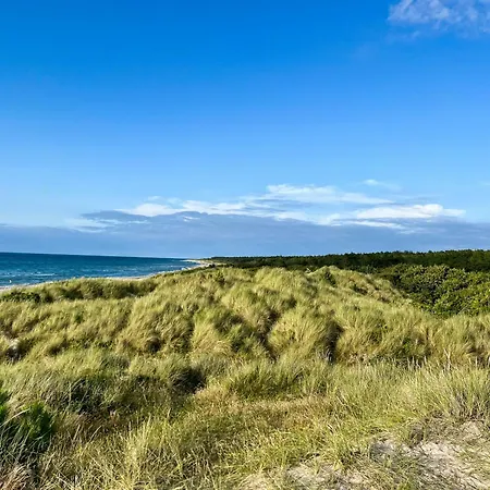 Summerhouse Close To Nature And *