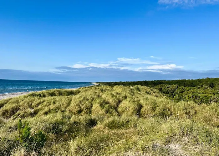 Summerhouse Close To Nature And *