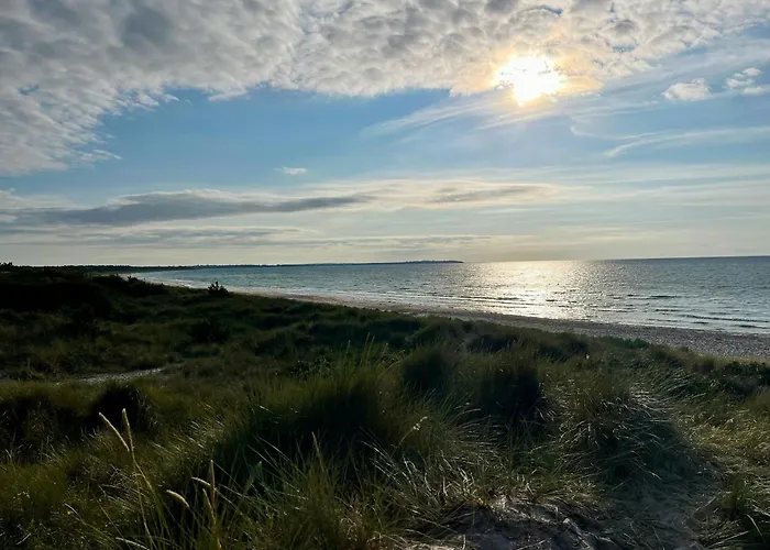 Summerhouse Close To Nature And
